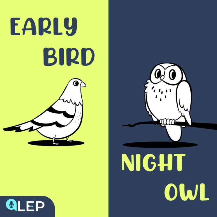 cover art for Sleep Patterns: Night Owl Or Early Bird