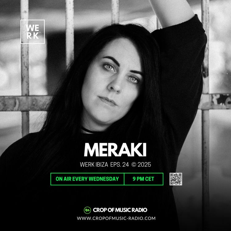 cover art for Werk 024 - Meraki