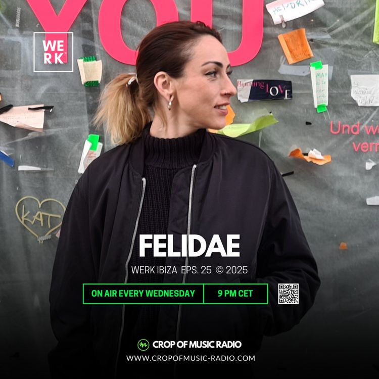 cover art for Werk 025 - Felidae