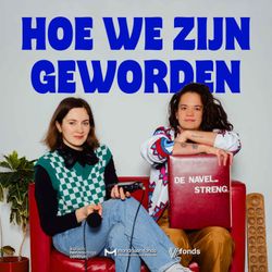 cover art for Hoe we zijn geworden