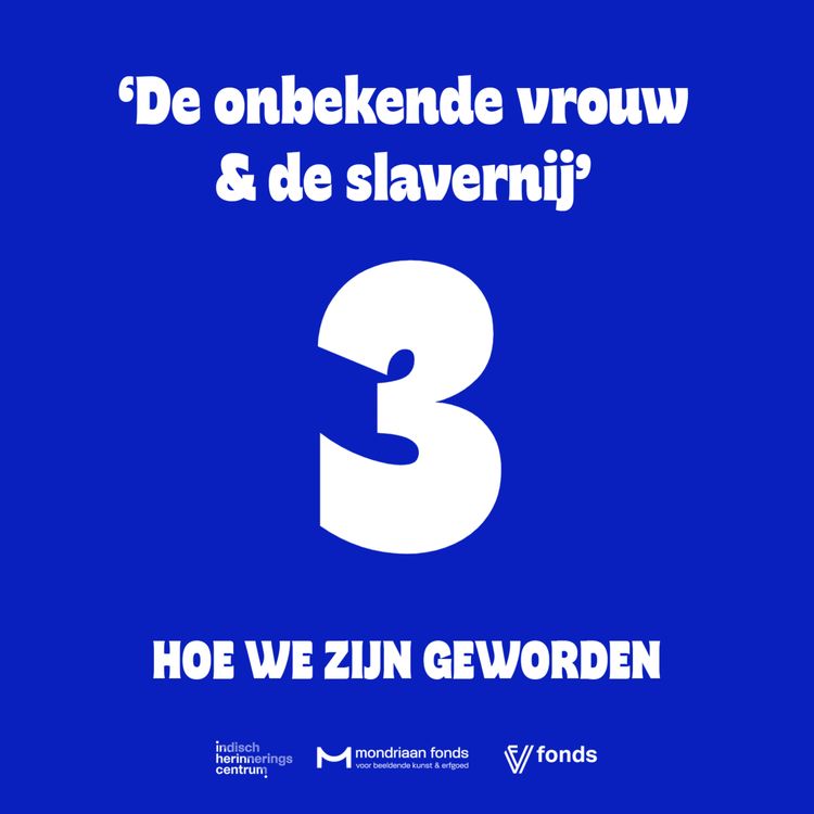 cover art for 3. De onbekende vrouw & de slavernij