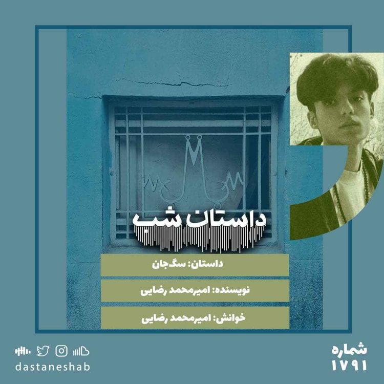 cover art for 1791.سگ جان