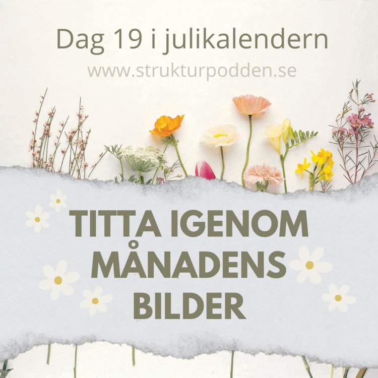 cover art for Julikalender 19