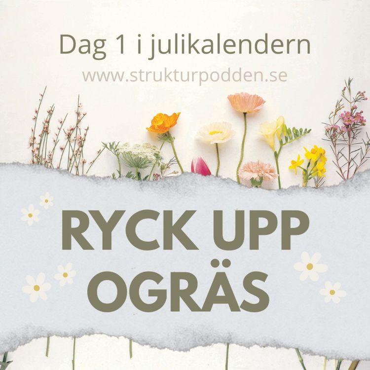 cover art for Julikalender 1