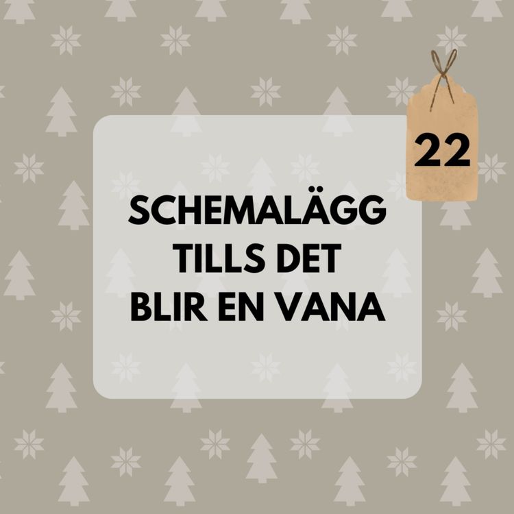 cover art for Julkalender 22