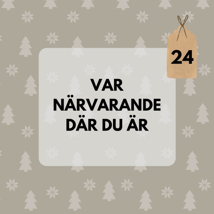 cover art for Julkalender 24