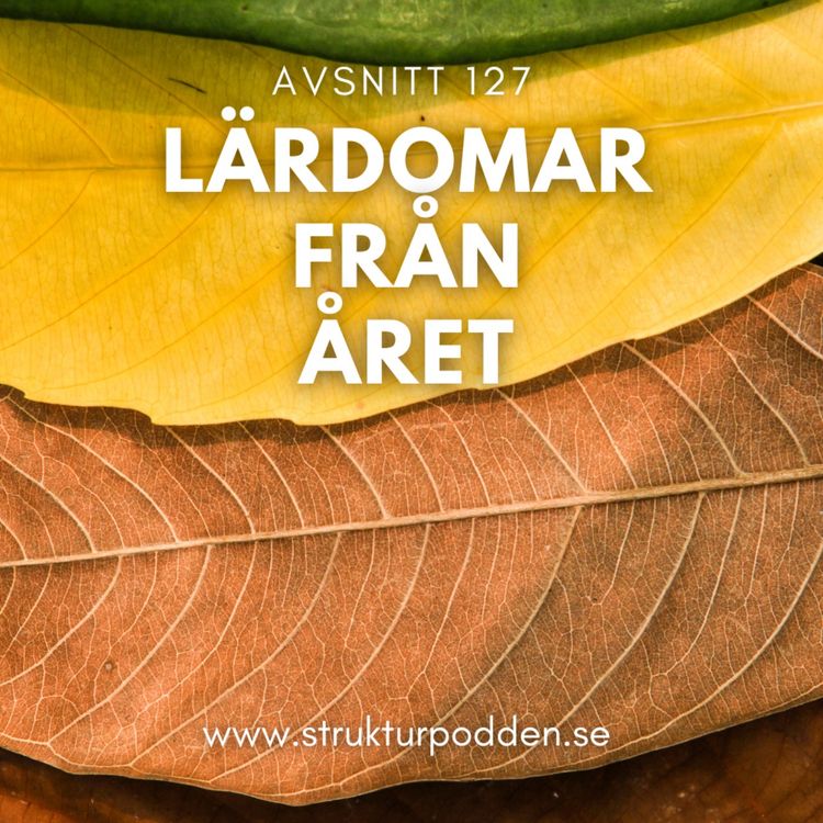 cover art for 127 Lärdomar från året