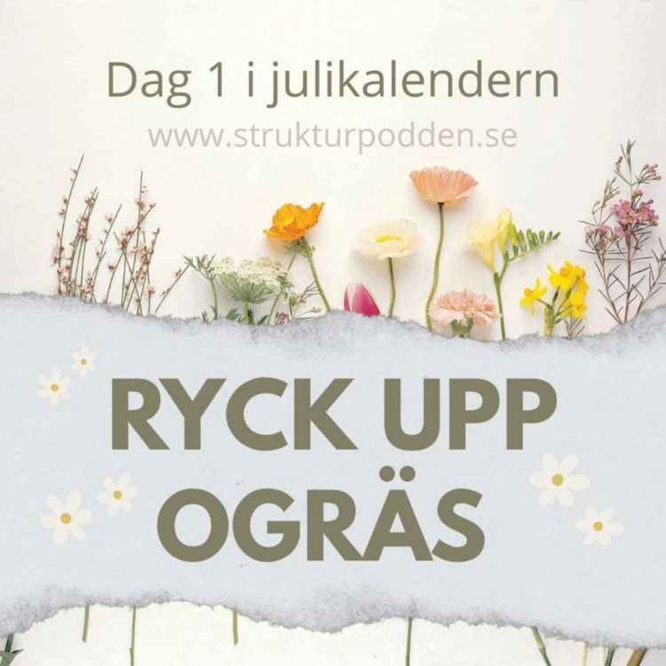 cover art for Julikalender 1