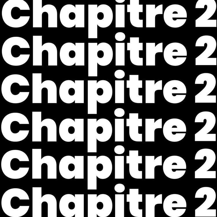 cover art for CHAPITRE 2 - Choisir une direction.