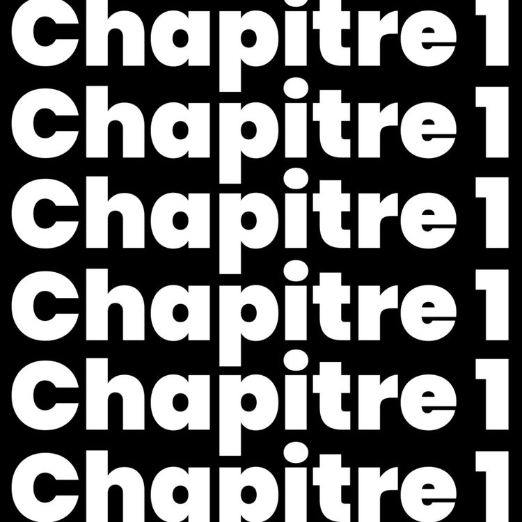 cover art for CHAPITRE 1 : L'État des lieux.