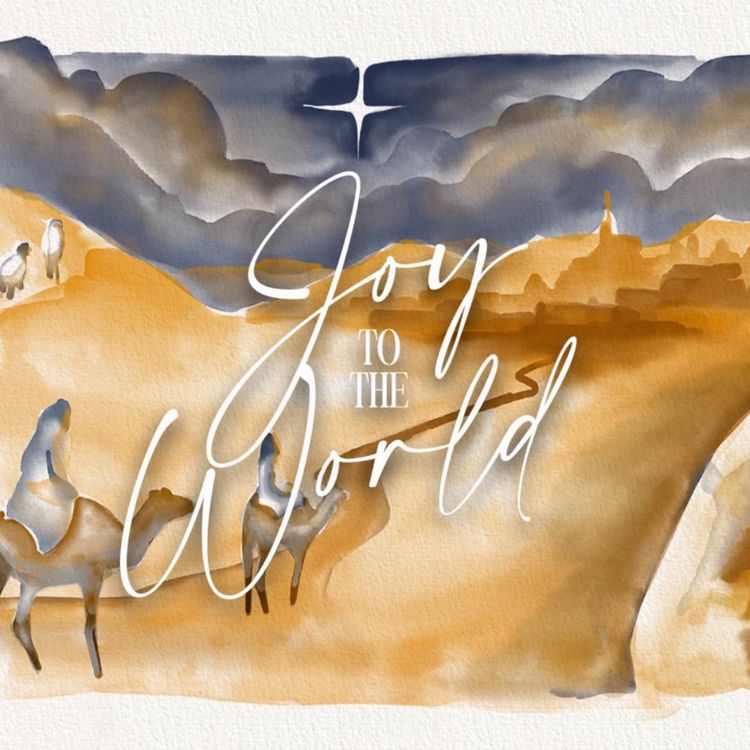 cover art for Peter Burton | Advent: Lighting Up the Darkness