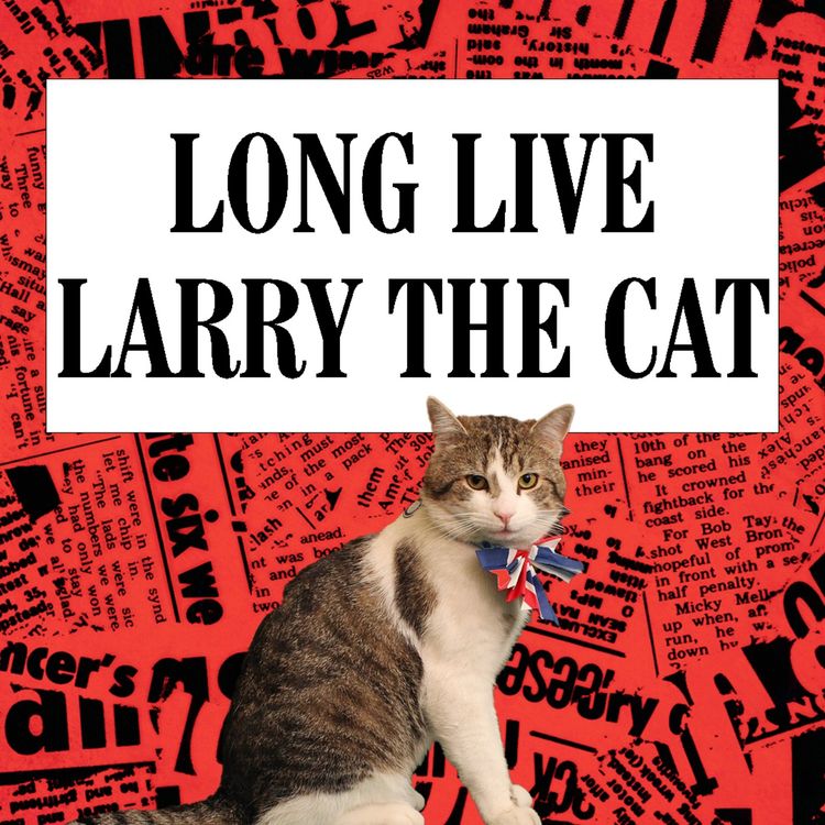 cover art for Long Live Larry the Cat