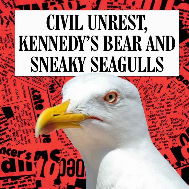 cover art for Civil Unrest, Kennedy's Bear and Sneaky Seagulls