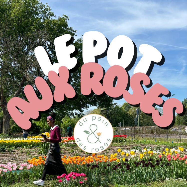 cover art for L'appauvrissement de la terre avec Anna 