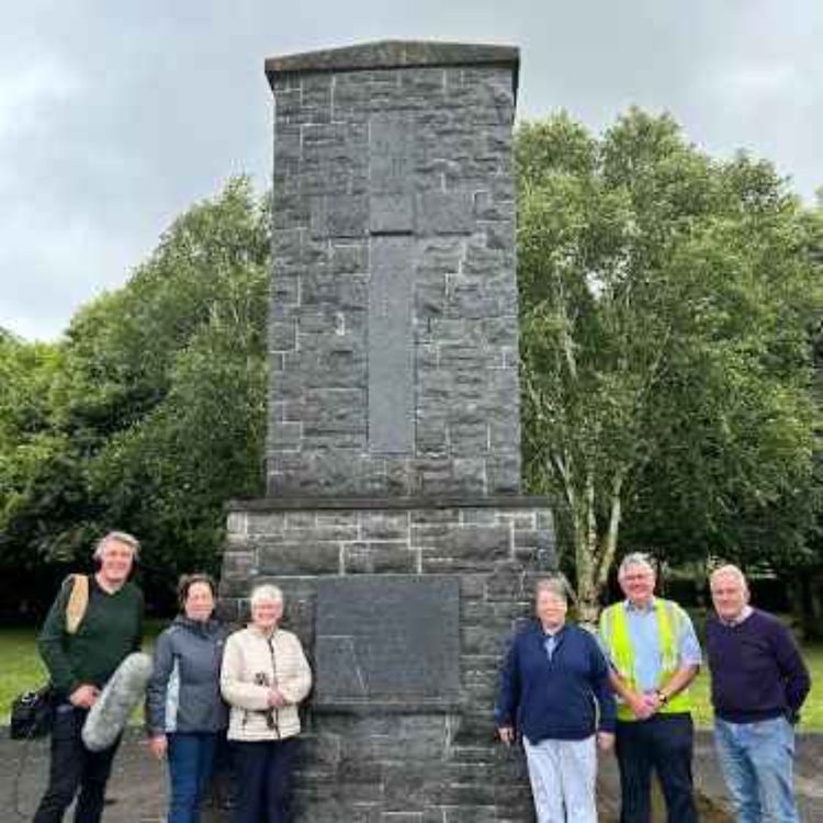 cover art for Did you meet anyone? Kilmallock