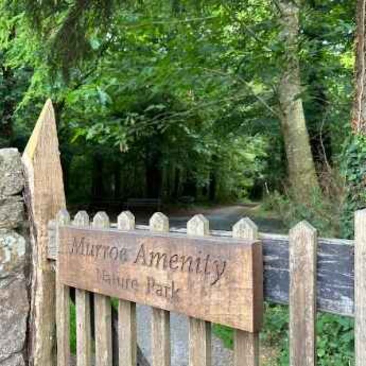 cover art for Did you meet anyone? Murroe