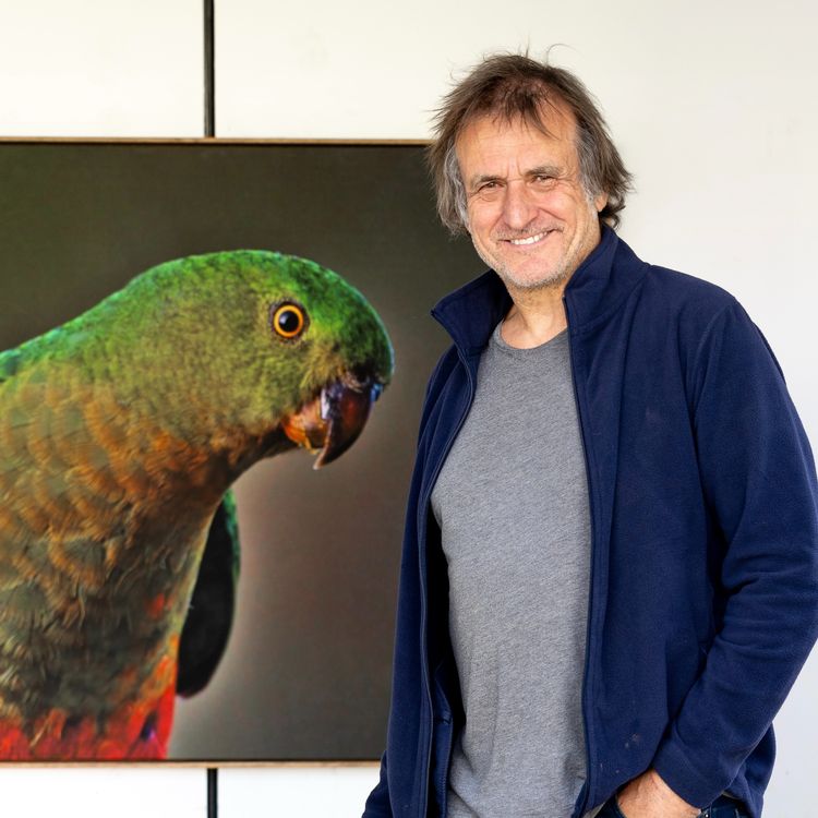 cover art for Paul Hastings