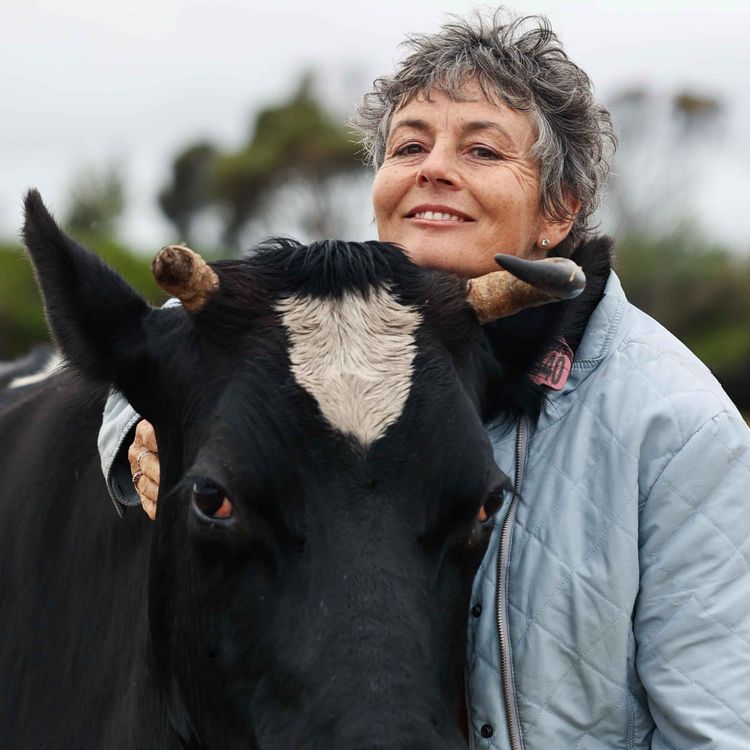 cover art for Jillian Staton