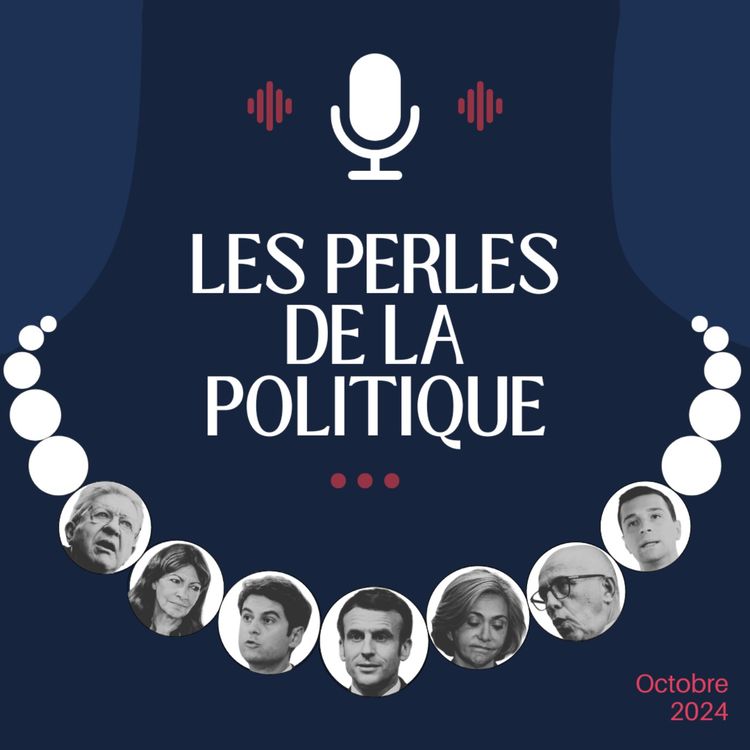 cover art for Les perles de la politique