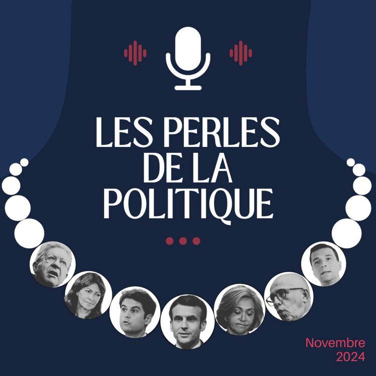 cover art for Les perles de la politique