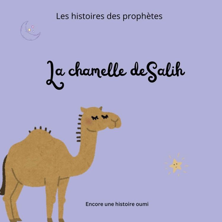 cover art for La chamelle de Salih