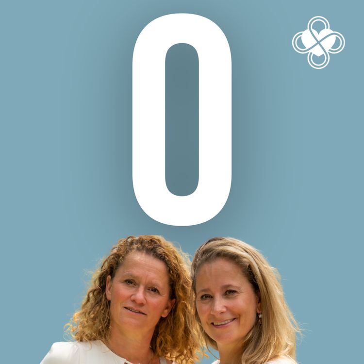 cover art for Omgevingswijs beslissen