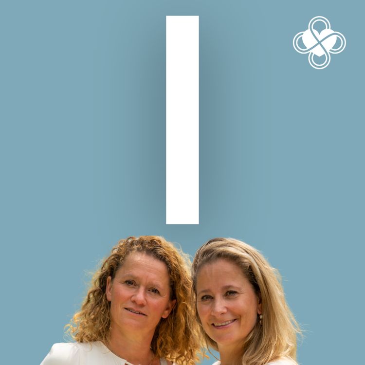 cover art for Integer handelen