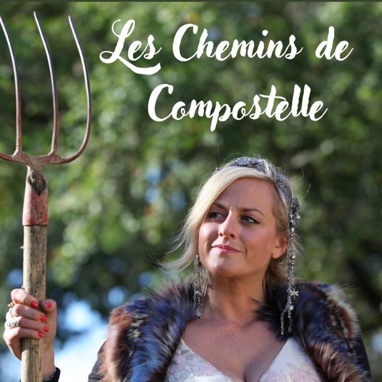 cover art for Les chemins de Saint-Jacques de Compostelle