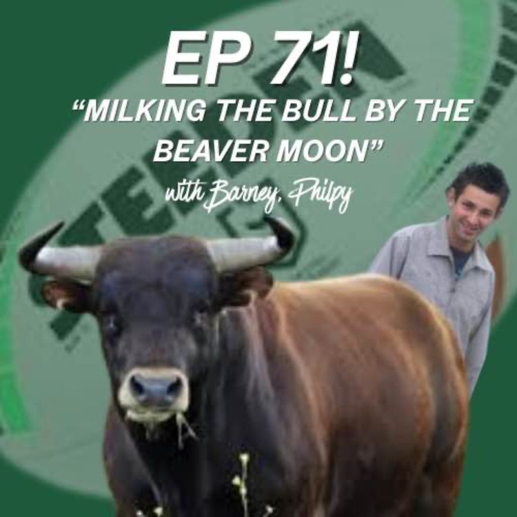 cover art for Ep 72 - Milking The Bull by the Beaver Moon. 