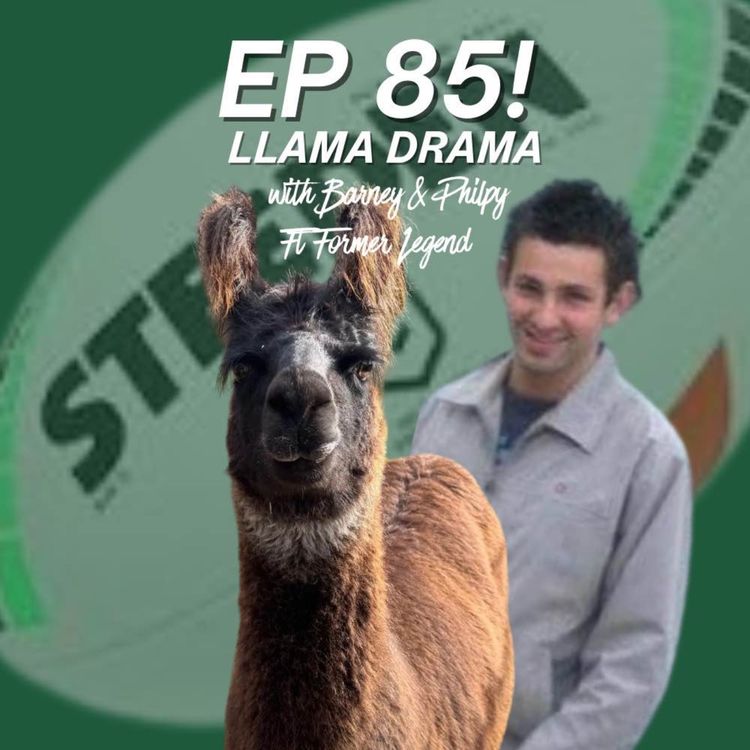 cover art for Ep 86 - llama Drama