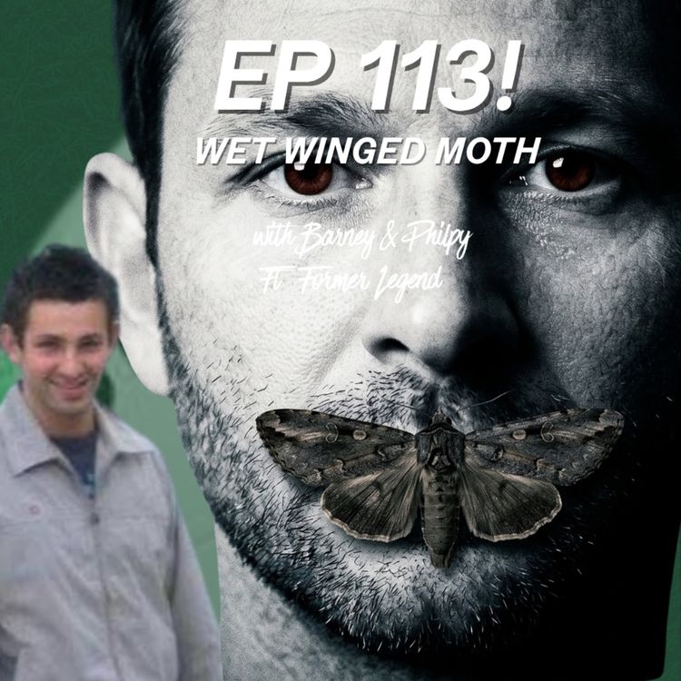 cover art for Ep 113 - Wet Winged Moth