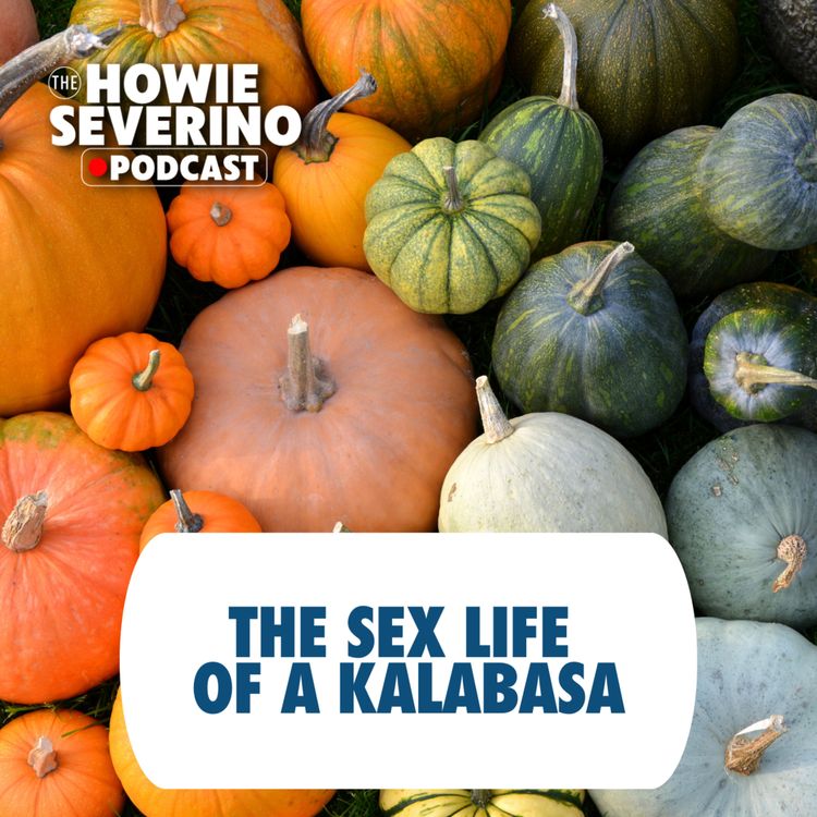 cover art for [MINISODE] The sex life of kalabasa, according to TV chef JR Royol 