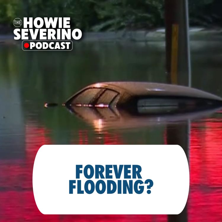 cover art for [MINISODE] Forever flooding?