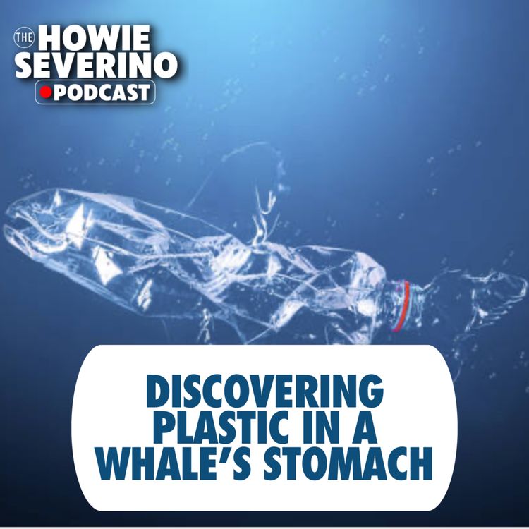 cover art for [MINISODE] Discovering 40 kg of plastic in a whale’s stomach 