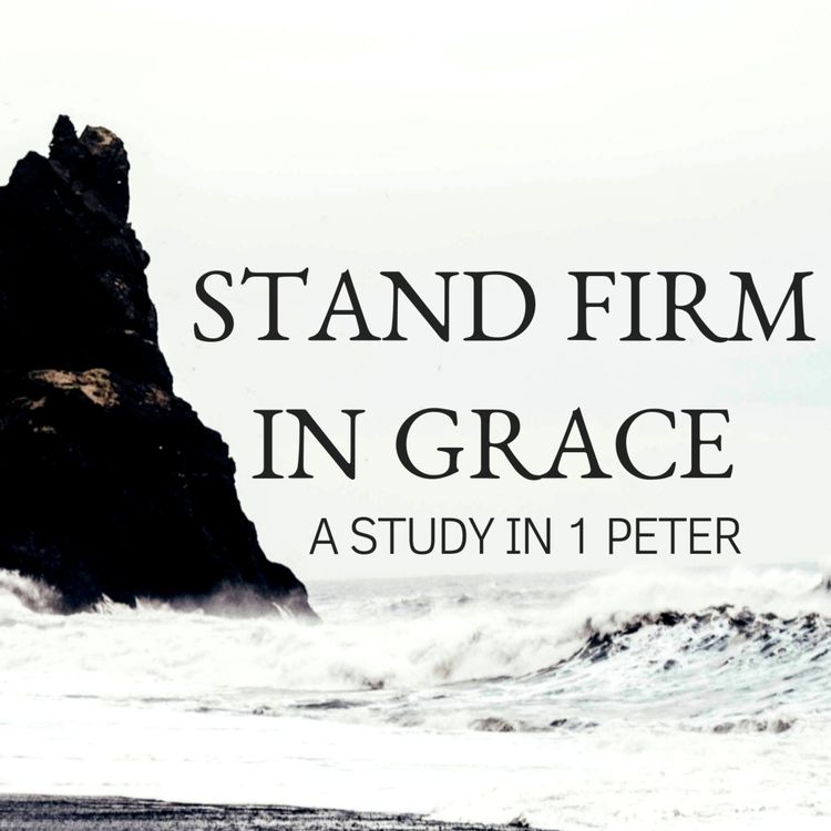 cover art for Leaning Forward Together