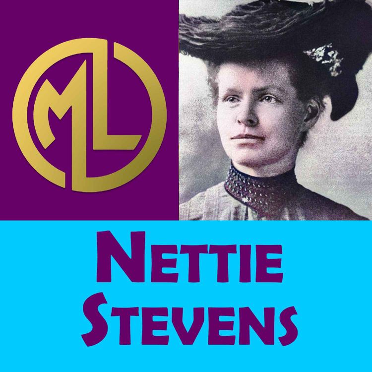 cover art for ✔️Cuál fue el descubrimiento de NETTIE STEVENS?💥【BIOGRAFÍAS-Grandes Mujeres】