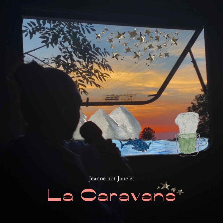 cover art for La Caravane a 6 mois, bilan de mon ancien prof d'éloquence