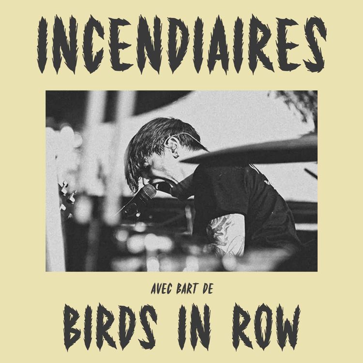 cover art for Épisode 18 – Birds In Row