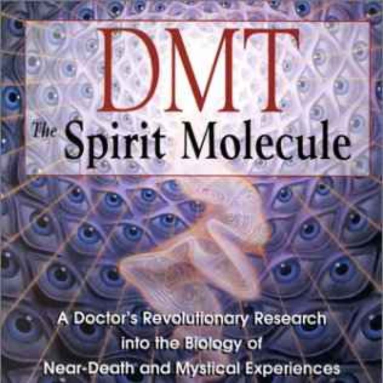 cover art for Dr. Rick Strassman on DMT: The Spirit Molecule - July 4, 2015