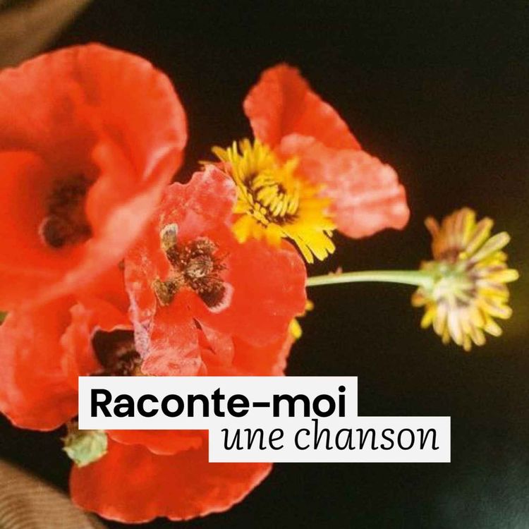 cover art for Raconte-moi une chanson 