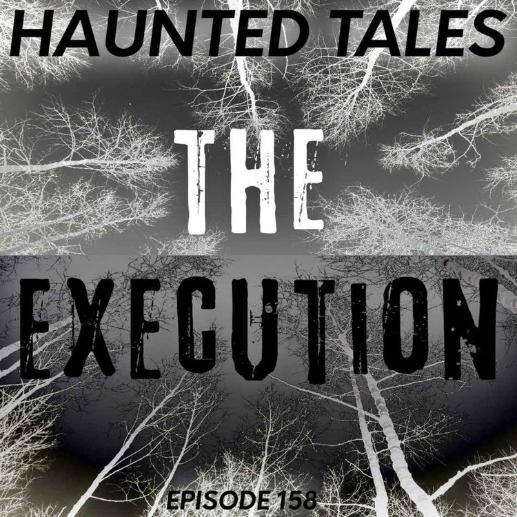 cover art for The Execution