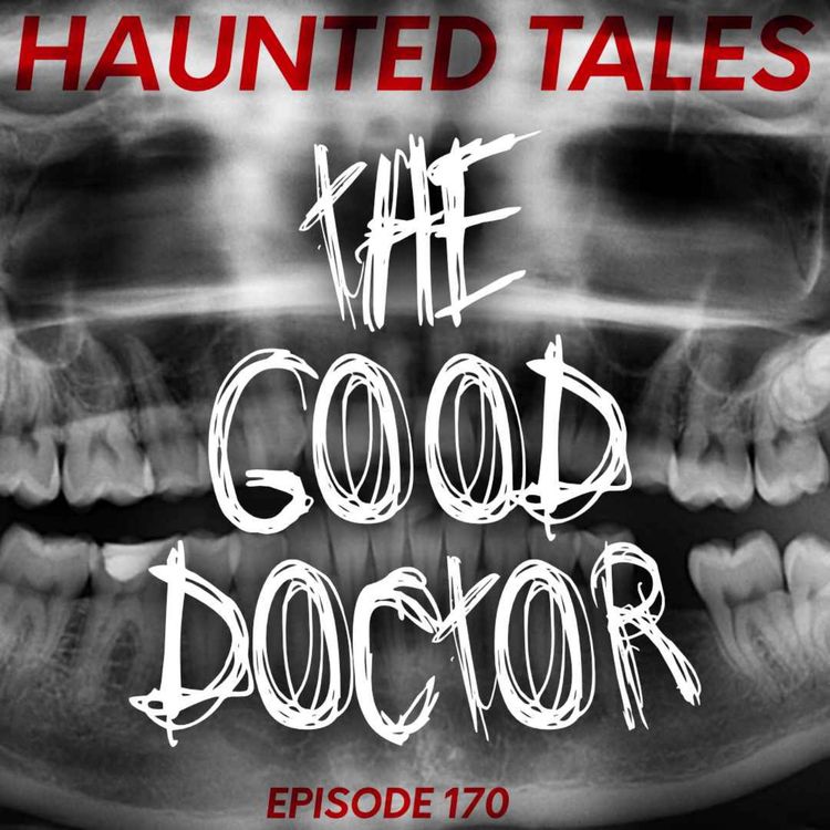 cover art for The Good Doctor