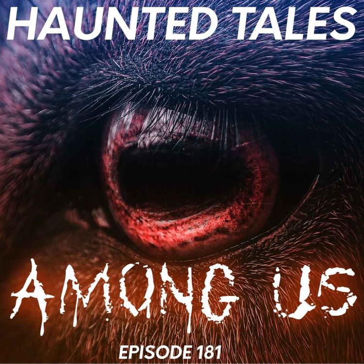 cover art for Among Us