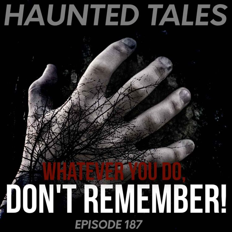 cover art for Don't Remember!