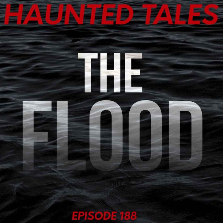 cover art for The Flood