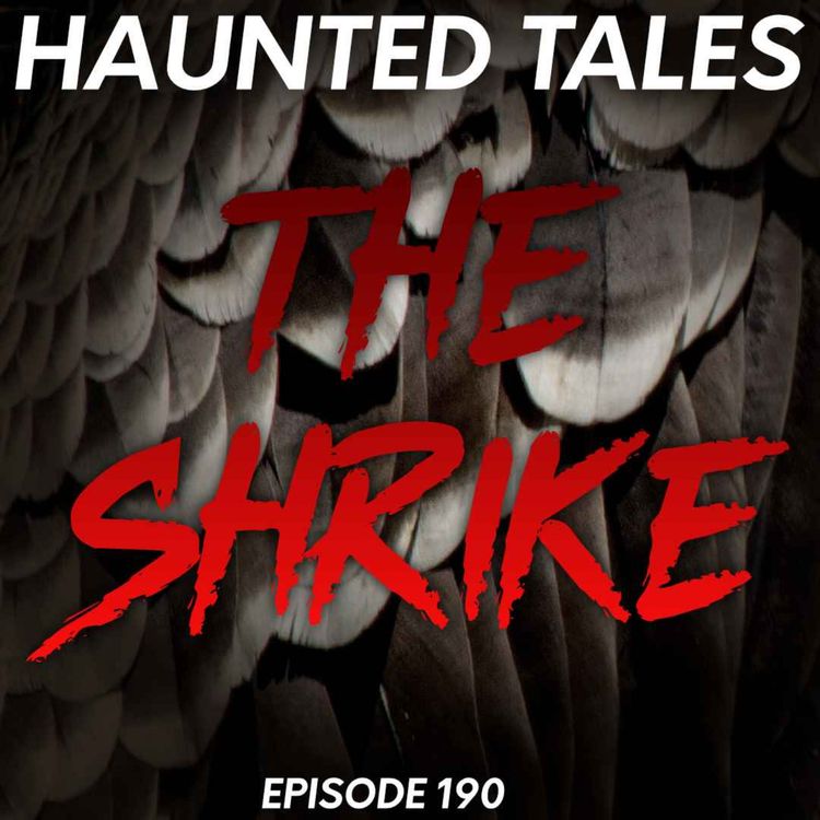 cover art for The Shrike