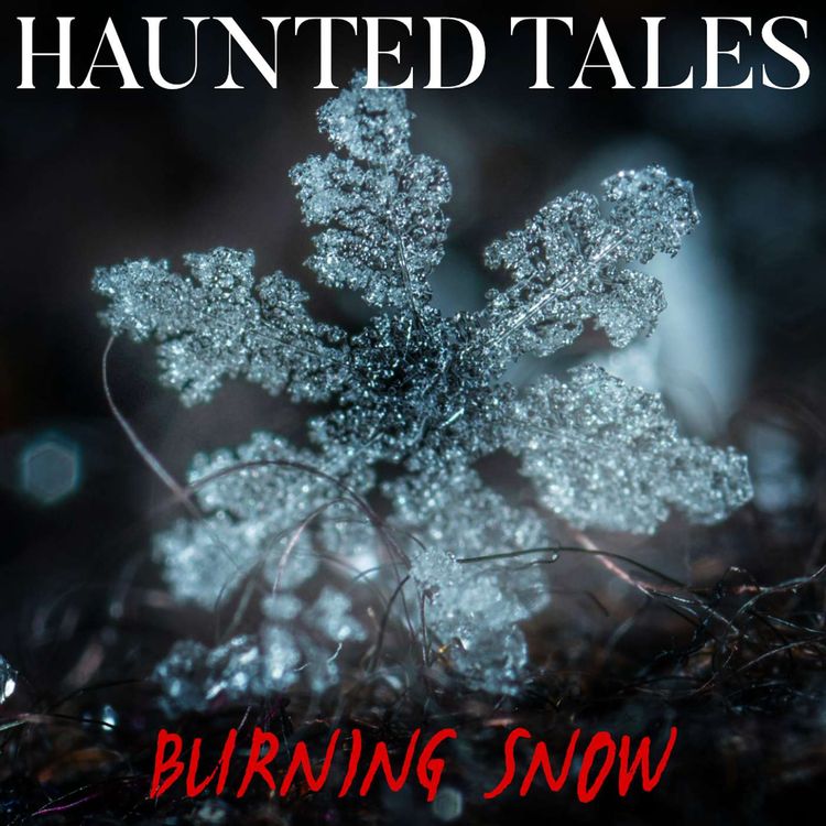 cover art for Burning Snow