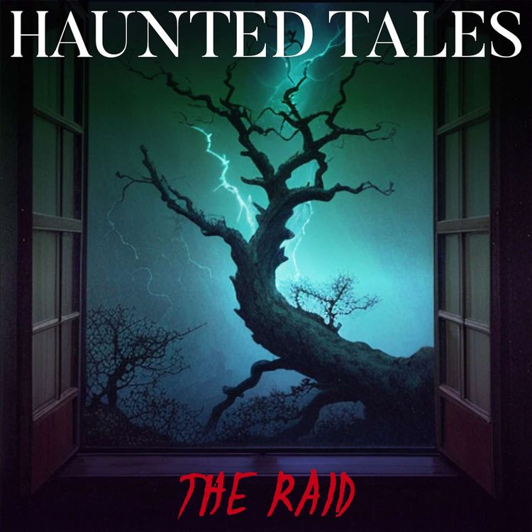 cover art for The Raid