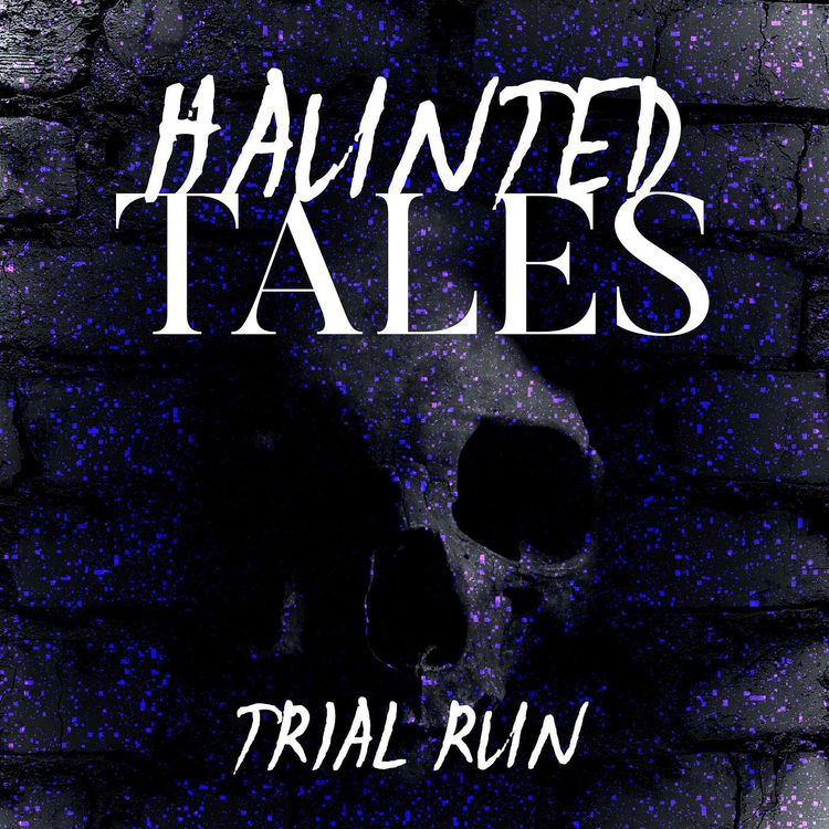 cover art for Trial Run