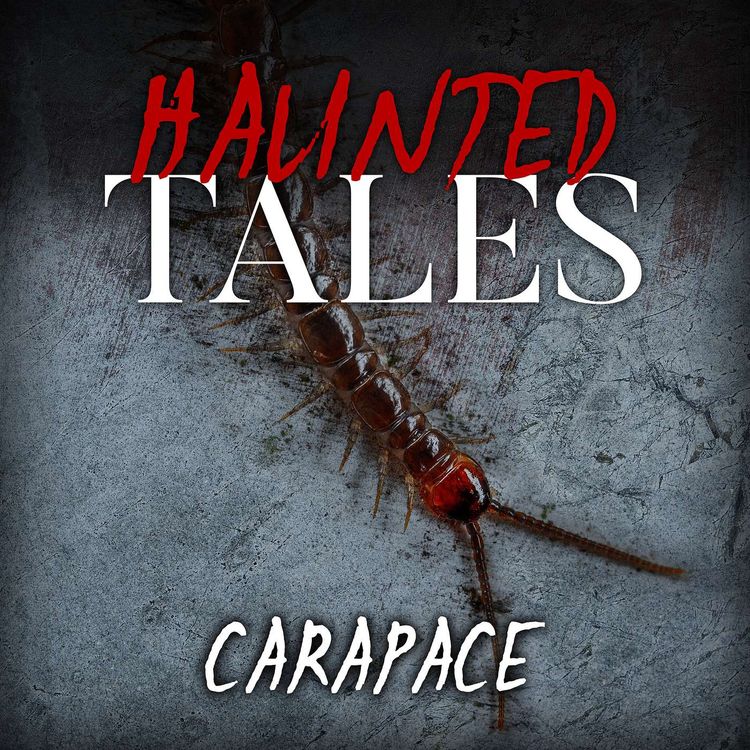 cover art for Carapace